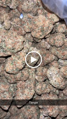 Customer video review of Tangie THCA Flower