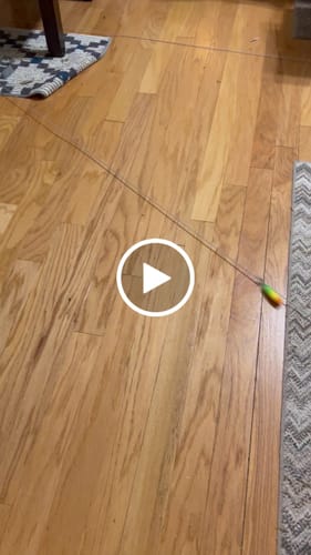 Customer video review of FELOCITY V1