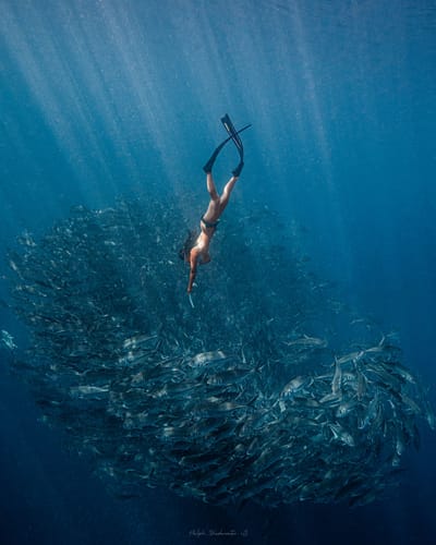 Customer photo review of Luna Long Sleeve Swimwear