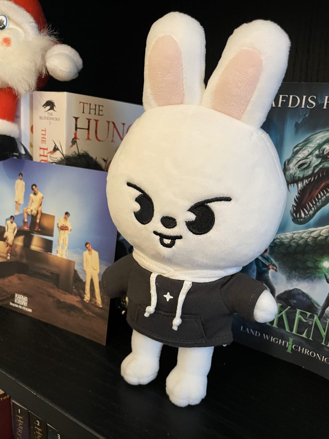 Customer photo review of STRAY KIDS - SKZ'S MAGIC SCHOOL OFFICIAL MD SKZOO PLUSH ORIGINAL VER.