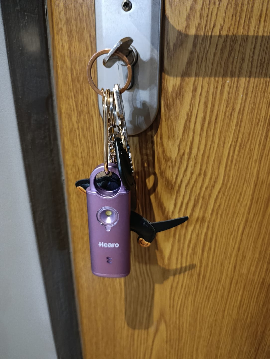 Customer photo review of HEARO 2.0