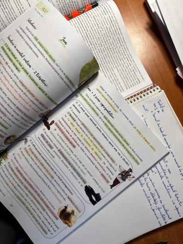 Recenzie cu fotografie de la un client despre Carte Română Bacalaureat Bacademia (temă și viziune, caracterizare, relație) - Ediția II