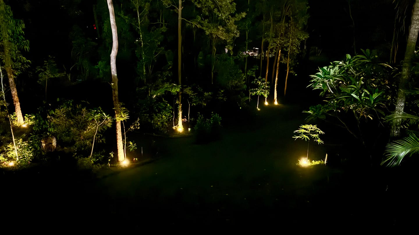 Customer photo review of SolaGarden™ LED Ground Light Pack
