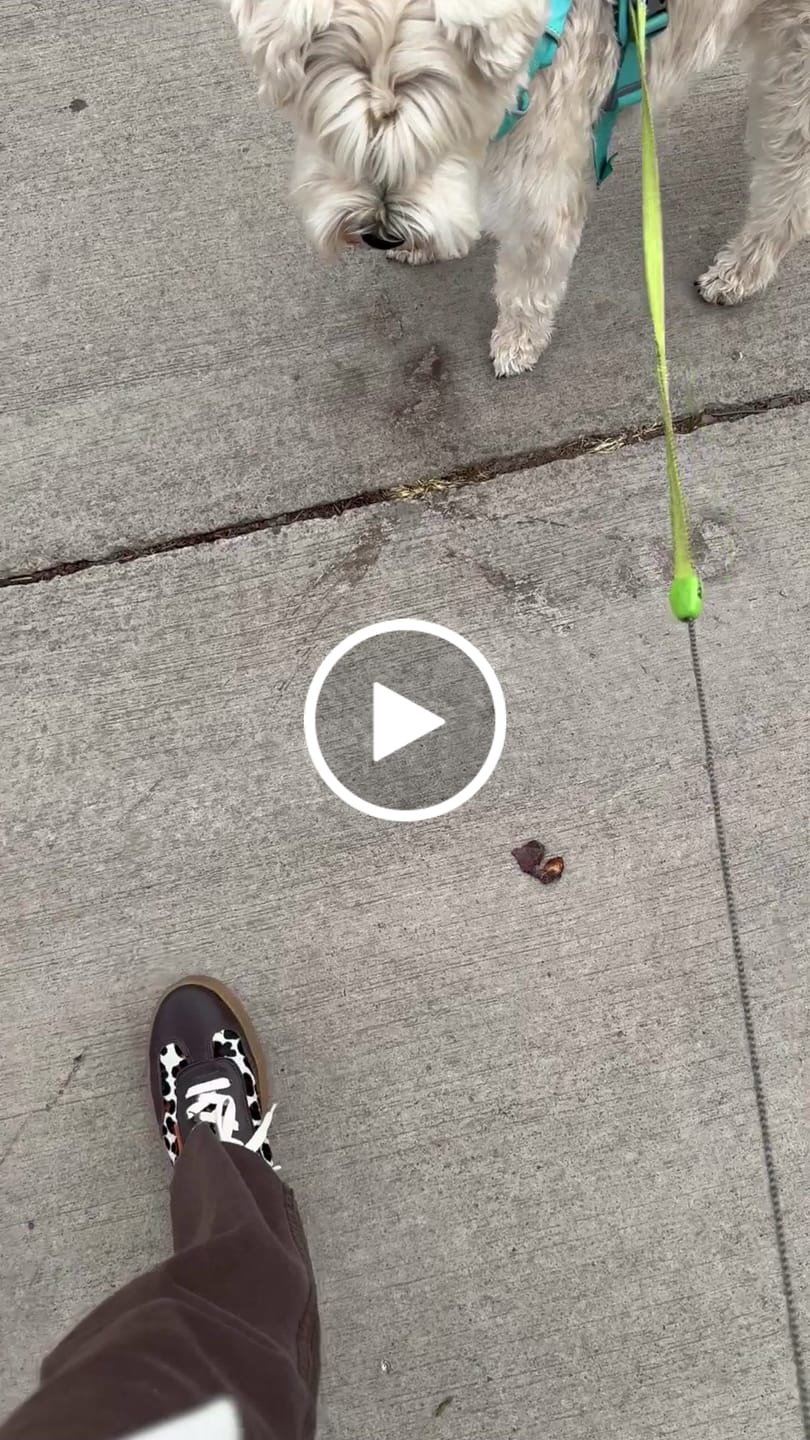 Customer video review of Silvy I Zapatilla
