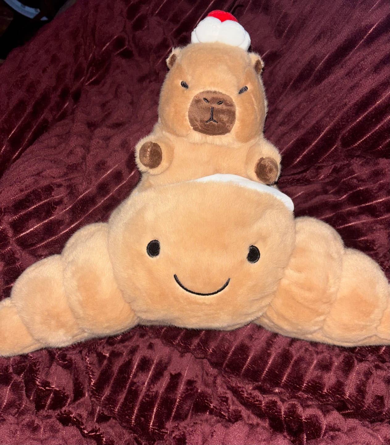 Customer photo review of Capybara & Cake Collection