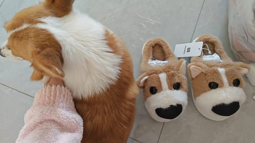 Customer photo review of Puppy Home Cotton Slippers
