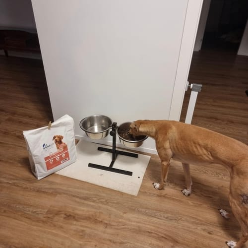 Customer photo review of 100g Crocchette GRAIN FREE