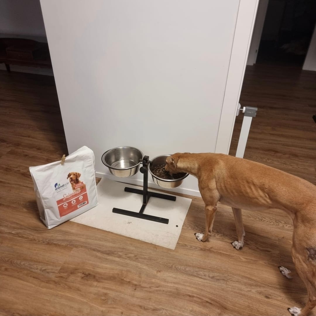 Customer photo review of 100g Crocchette GRAIN FREE