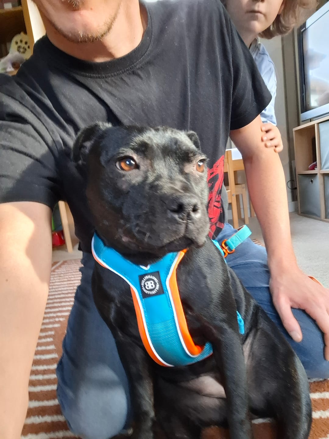 Customer photo review of 1.4m Lighter Swivel Combat Lead | Anti-Tangle & Secure Clip - Turquoise x Orange