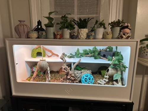 Customer photo review of XT4 BIO24 (48Lx24Dx24H) - STACKABLE