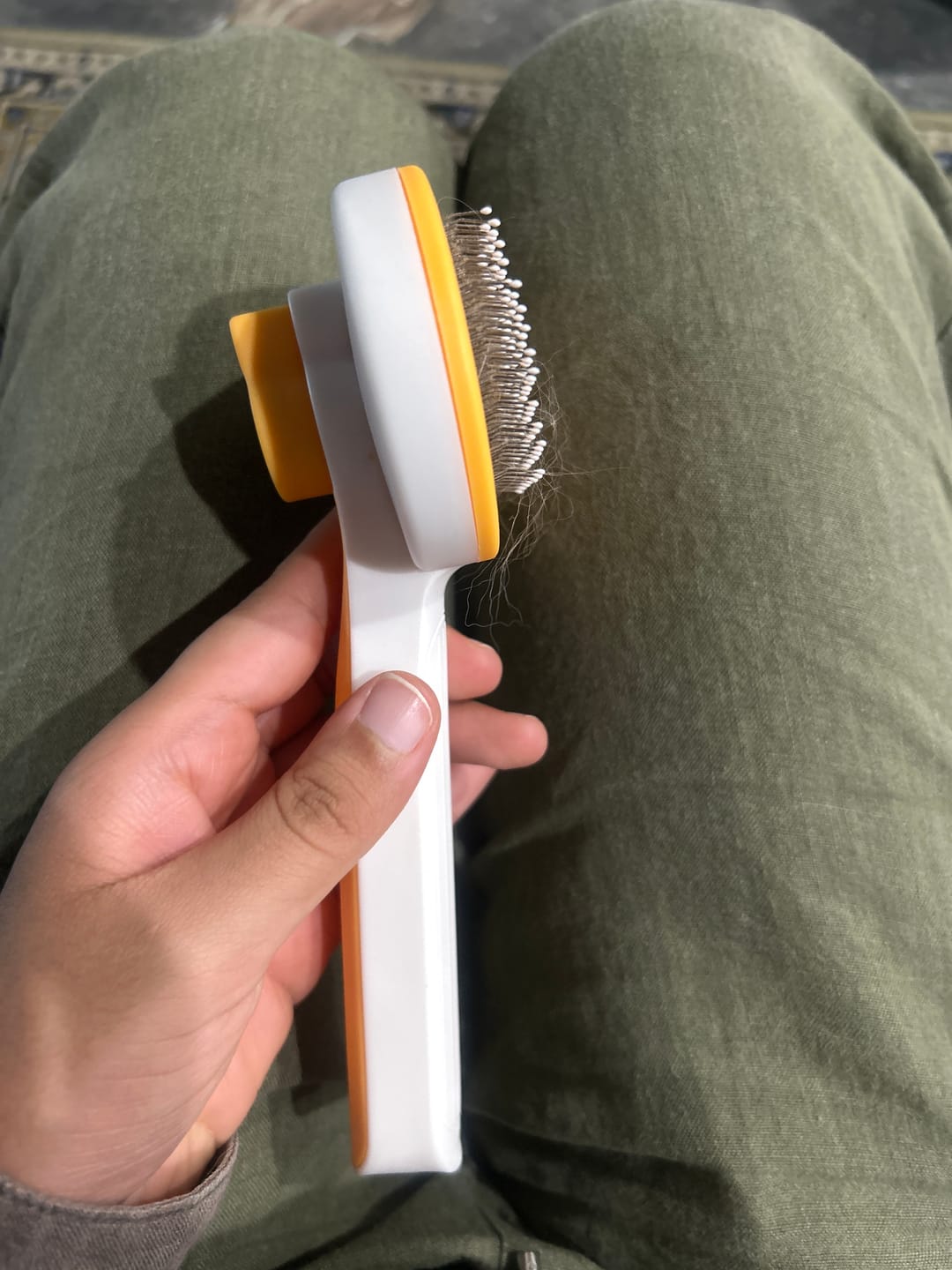 Customer photo review of One-Click Self-Cleaning Pet Brush – Angled Design for Easy Grooming