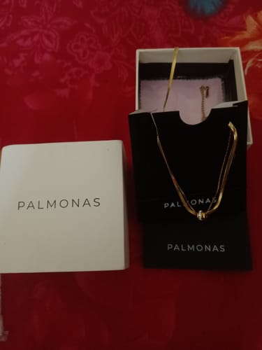 Customer photo review of Gilded Rings Layered Necklace