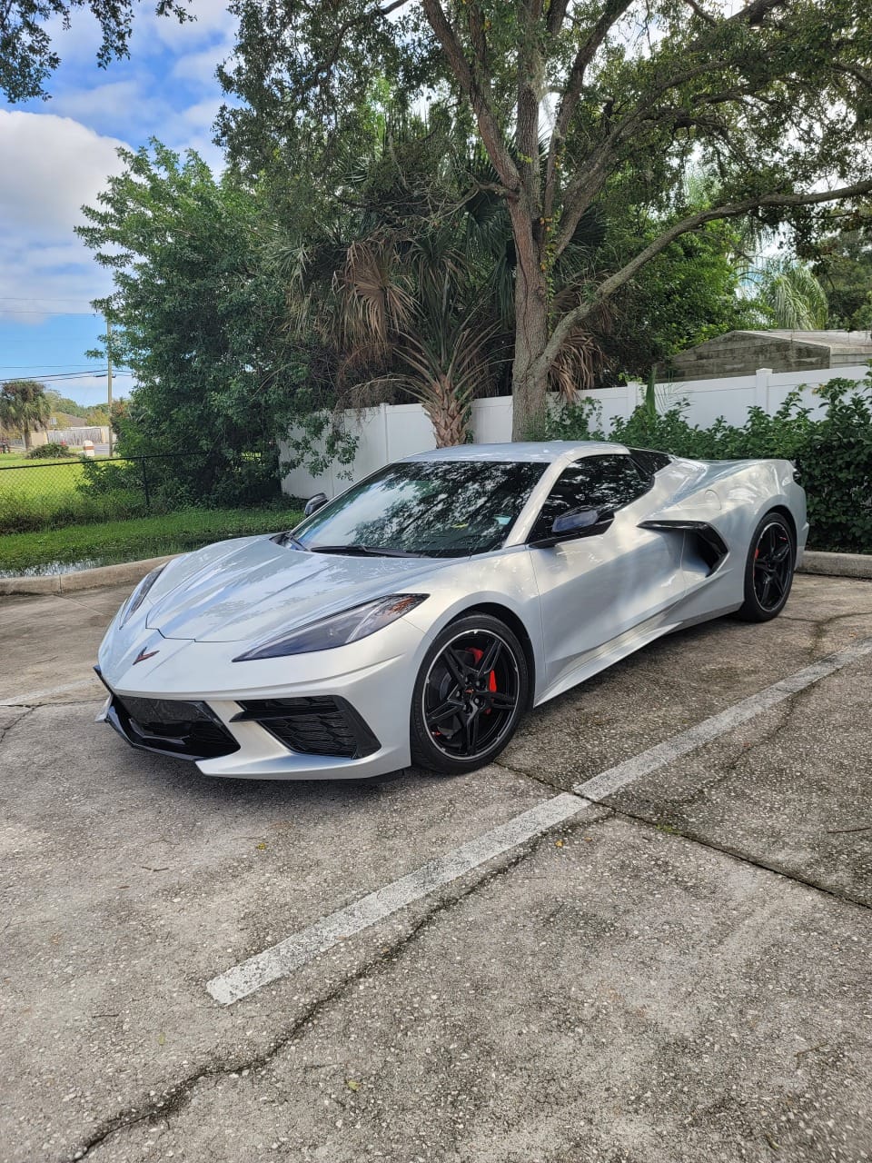 Customer photo review of Chevrolet Corvette C8 DRY CARBON FIBER 5VM Side Skirts