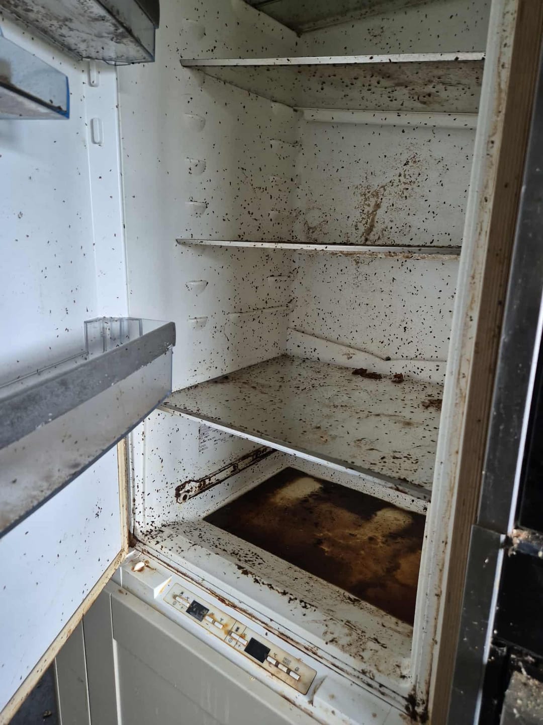 Customer photo review of Genie Grease Be Gone