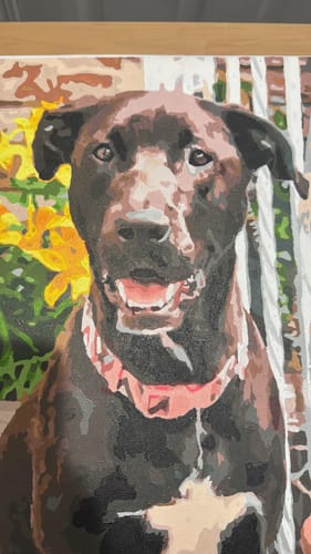 Customer photo review of Paint By Number eget billede med hurtig levering