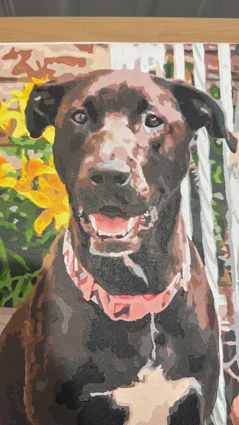 Customer photo review of Paint By Number eget billede med hurtig levering