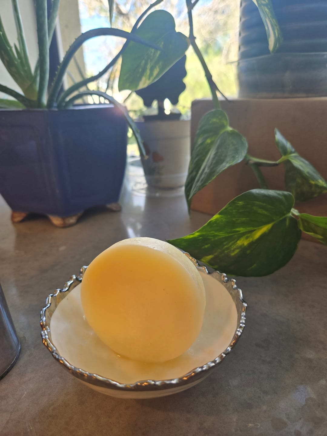 Customer photo review of Tallow Dish Soap