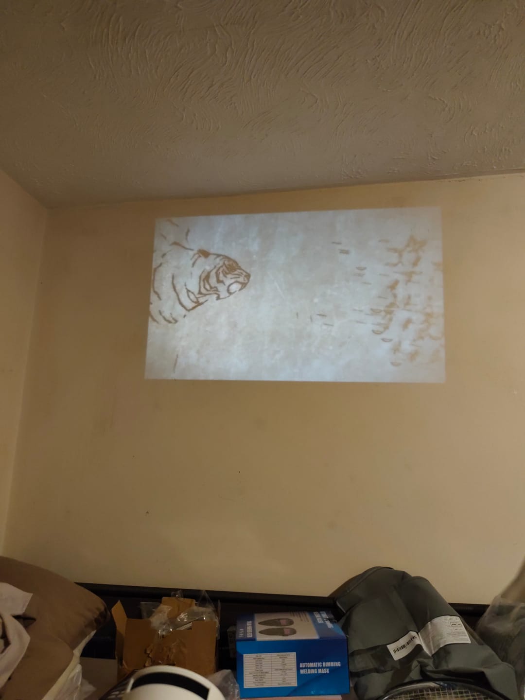 Customer photo review of CineMaster Pro® - 4K Smart Projector