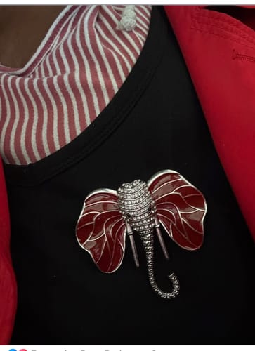 Customer photo review of Brooch DST Elephant Head Clear Stone Pin for Women