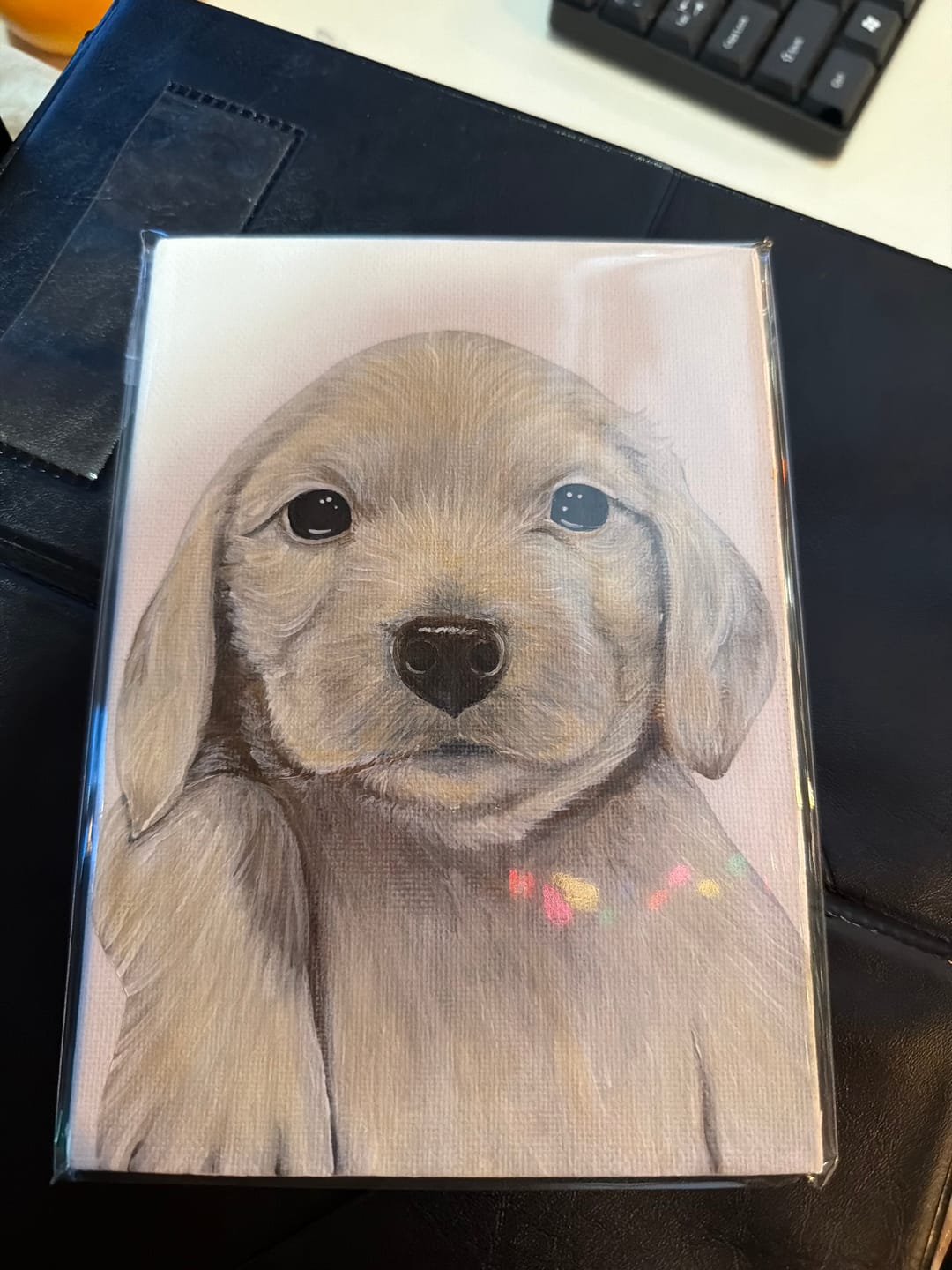 Customer photo review of Custom Pet Painting