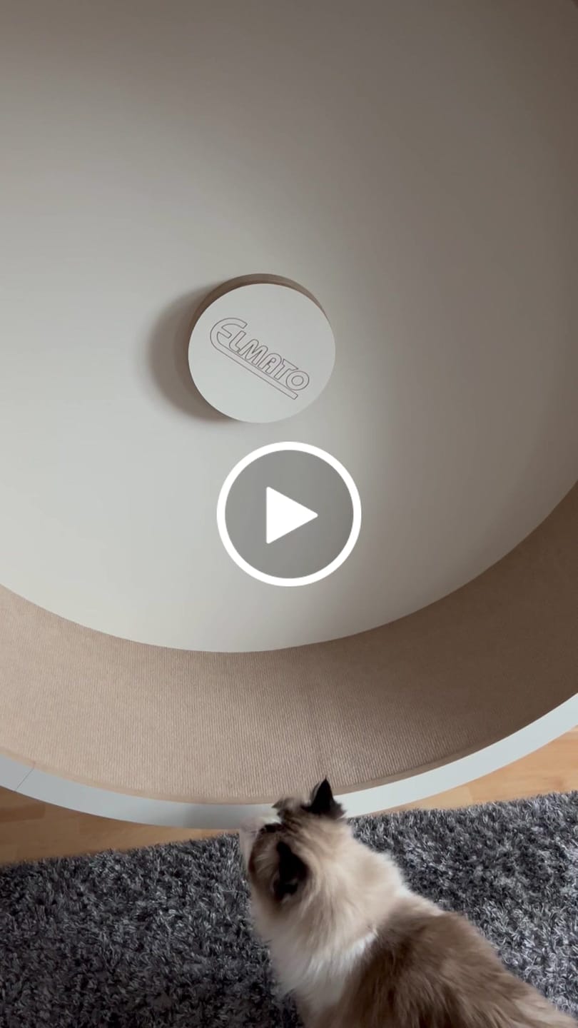 Customer video review of Elmato Katzenlaufrad Rocky Wandlaufrad