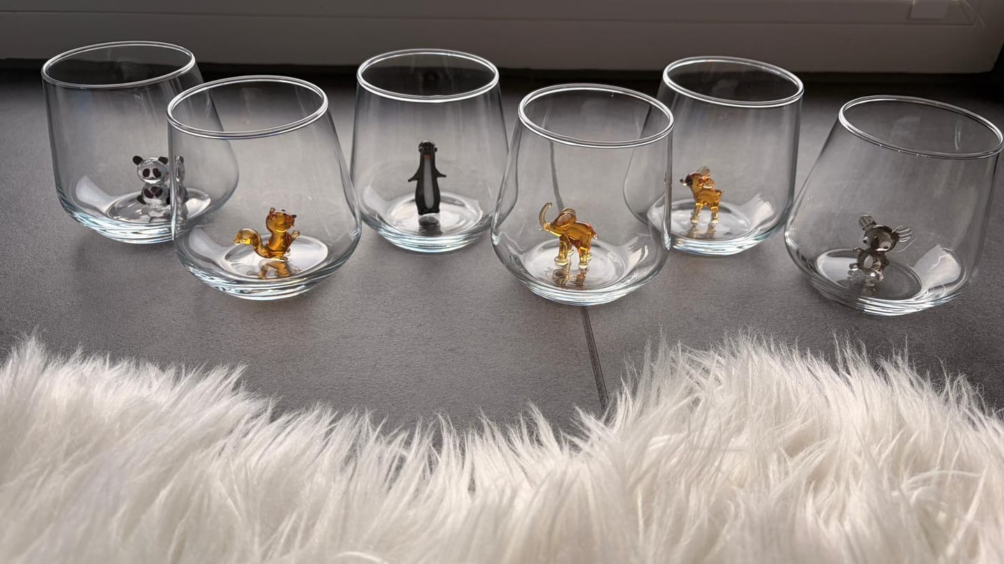Customer photo review of Planet Set of 6