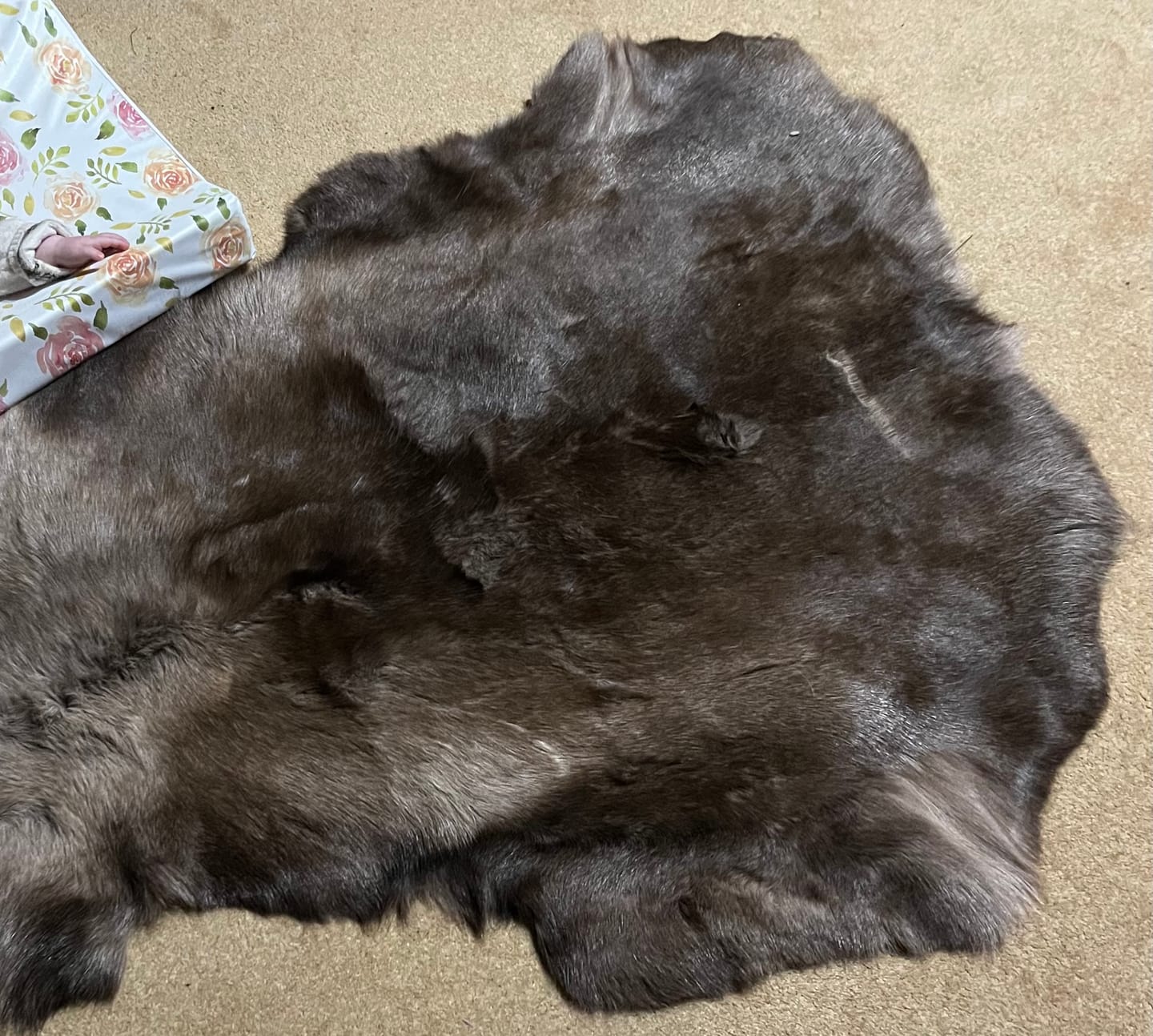 Customer photo review of XL Reindeer Fur Hide - Seconds