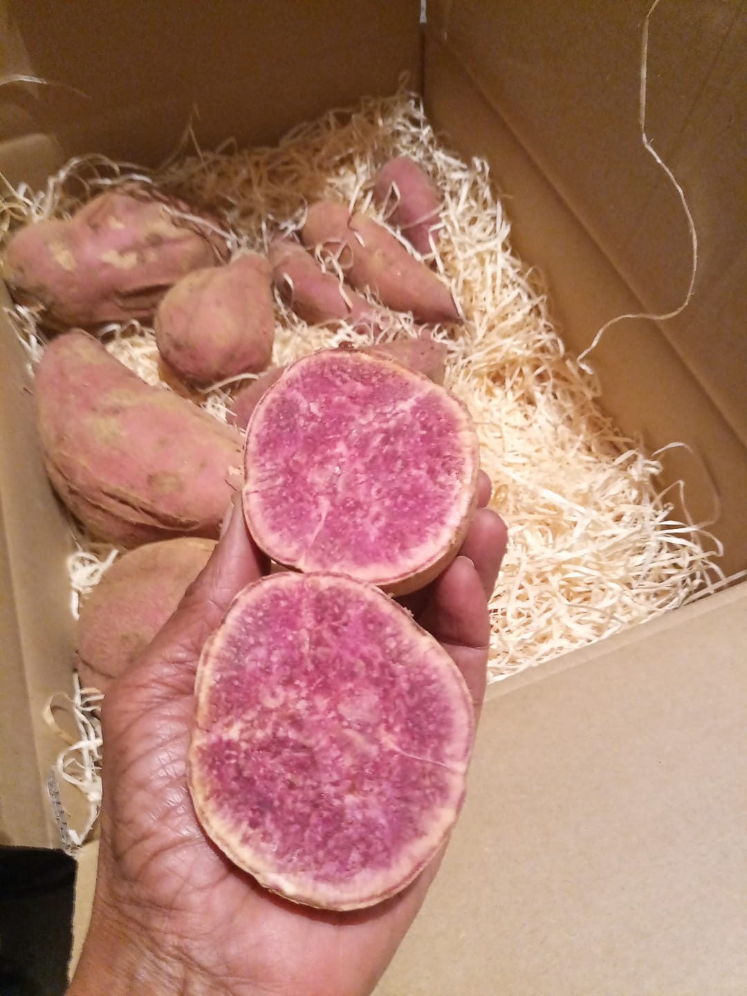 Customer photo review of Süsskartoffel violett "Okinawa" Bio & Demeter