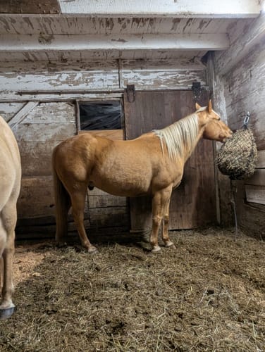 Customer photo review of Build Your Own Half Bale Net