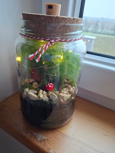 Rezensent zeigt den fertigen, beleuchteten Wichtelzauber im Flaschengarten auf einer Fensterbank.