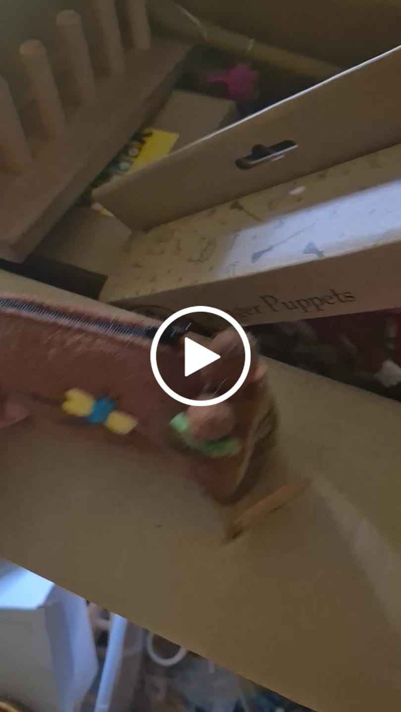 Customer video review of 5 Little Speckled Frogs with Log Bag - Finger Puppet Set