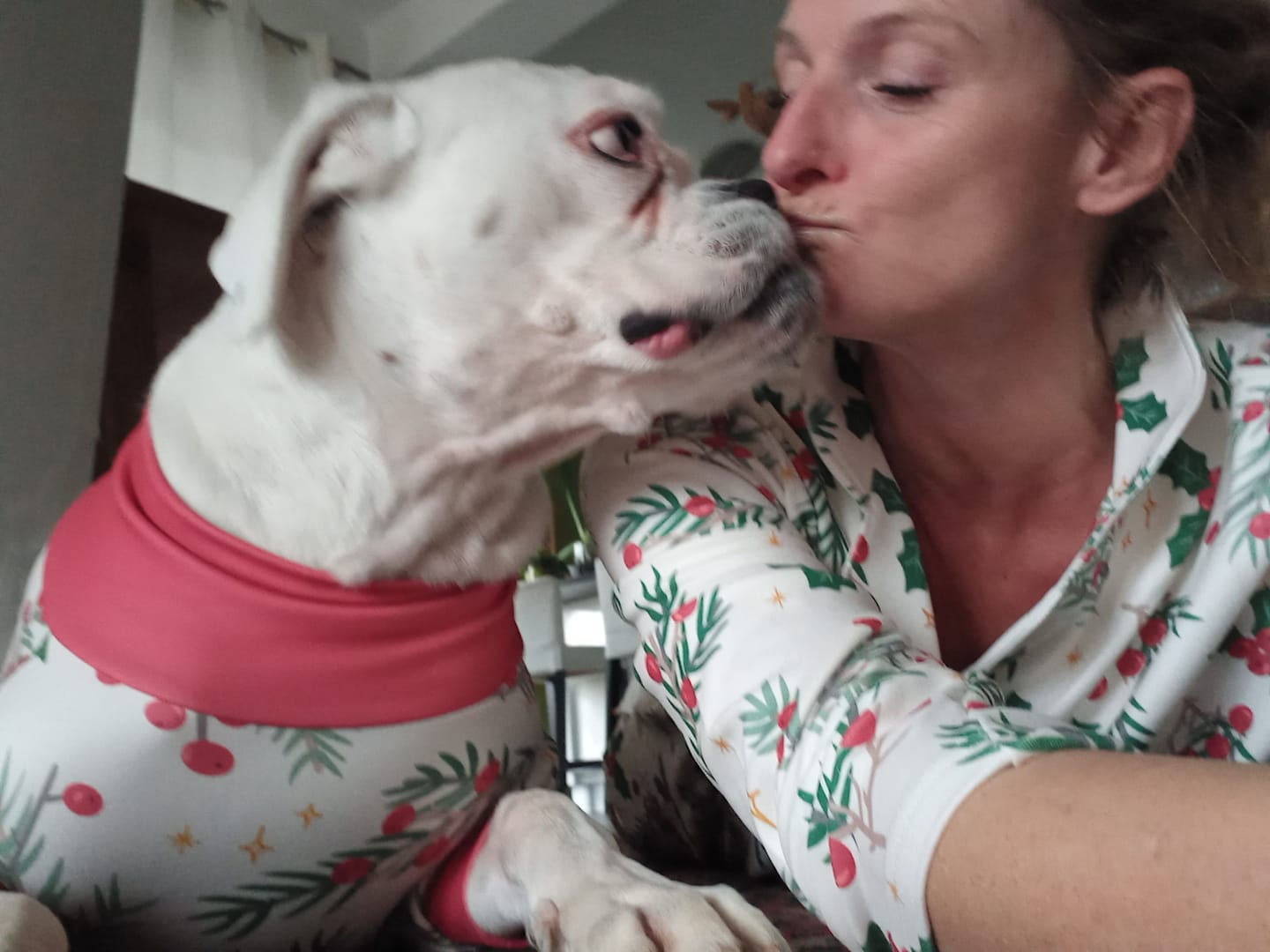 Customer photo review of Christmas Human Pajama Pants