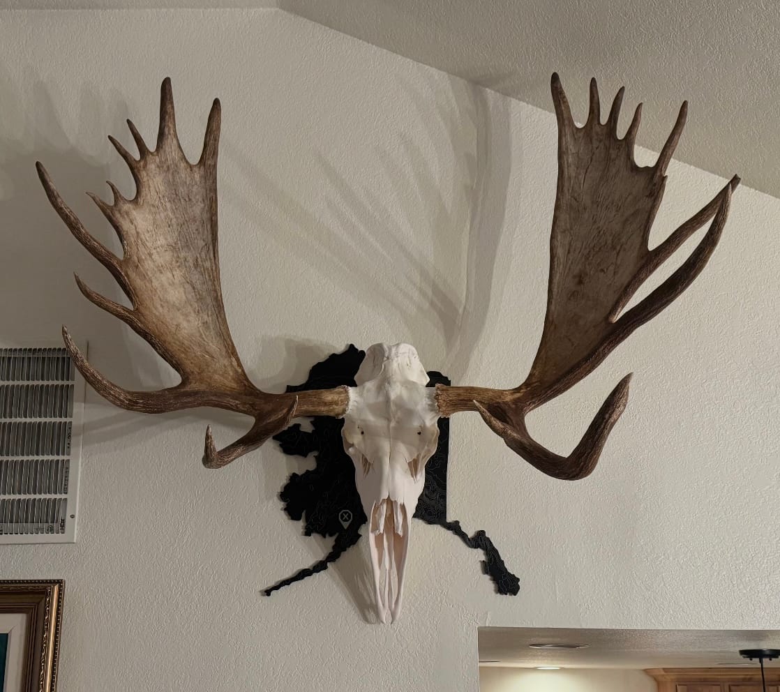 Customer photo review of SkulLok | Large Game