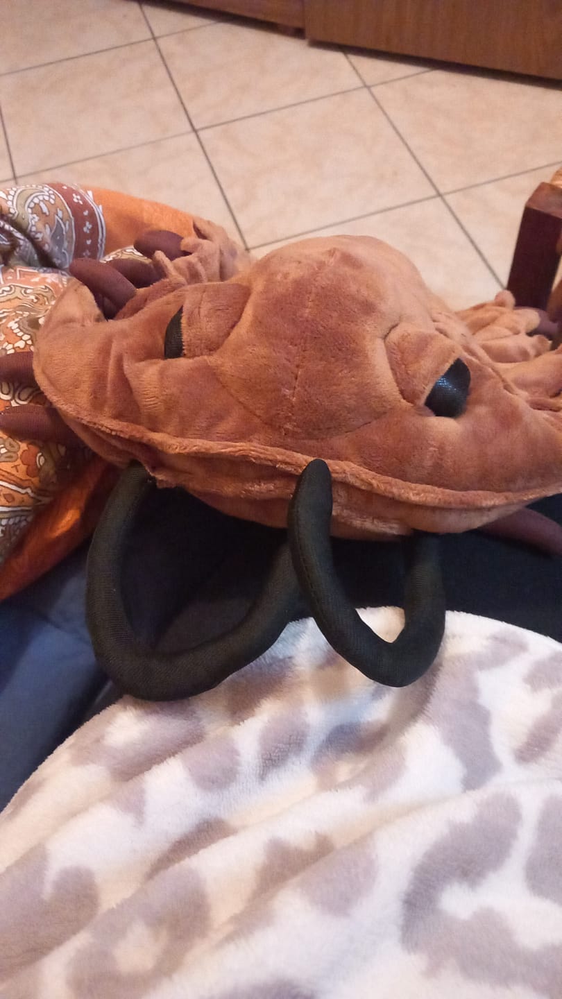 Customer photo review of Trilobite Arthropod Soft Stuffed Plush Toy