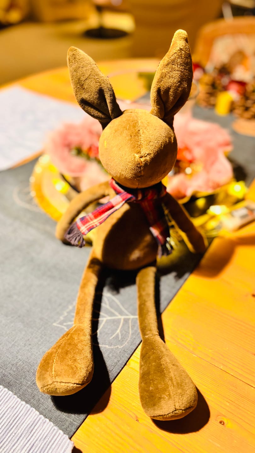 Customer photo review of DANIEL LE LAPIN - M/L