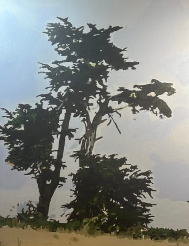 Customer photo review of Custom Landscape Paint By Numbers