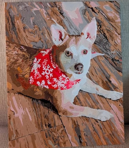 Customer photo review of Custom Pet Paint By Numbers