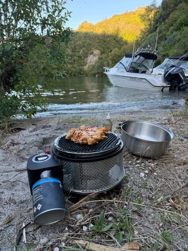 Customer photo review of COBB Grill Gas