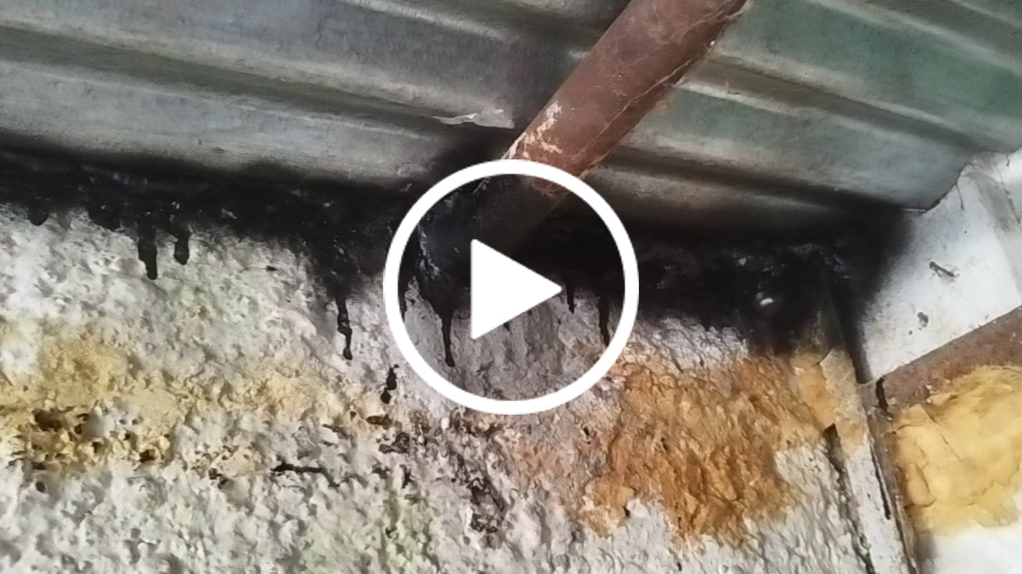 Customer video review of Spray Sellador de Fugas Leisel 450ml