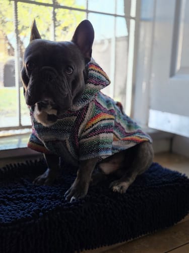 Customer photo review of Playa Poncho – Mystery Color (Bella, Charlie, or Fun Edition)