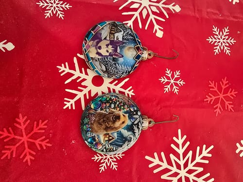 Customer photo review of Personalized Cat & Dog Christmas Ornaments With Photo Pets Make Our Lives Whole Home Holiday Decorations For Pet Lovers
