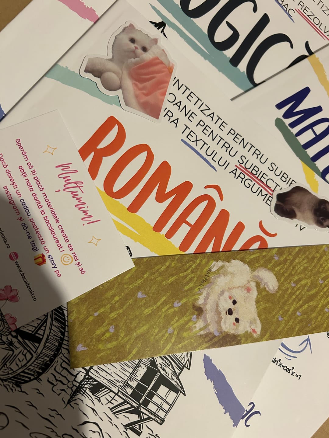 Customer photo review of Pachet Bacalaureat (Română + Matematică + Logică) Bacademia
