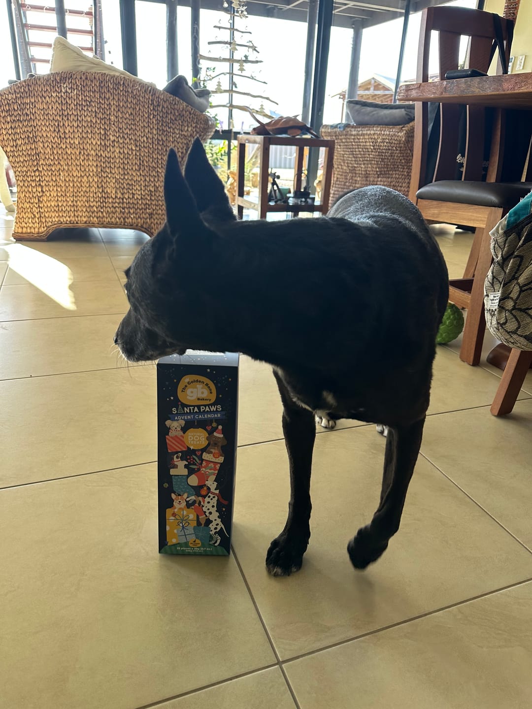 Customer photo review of Christmas Dog Advent Calendar Tower - BUNDLE & SAVE
