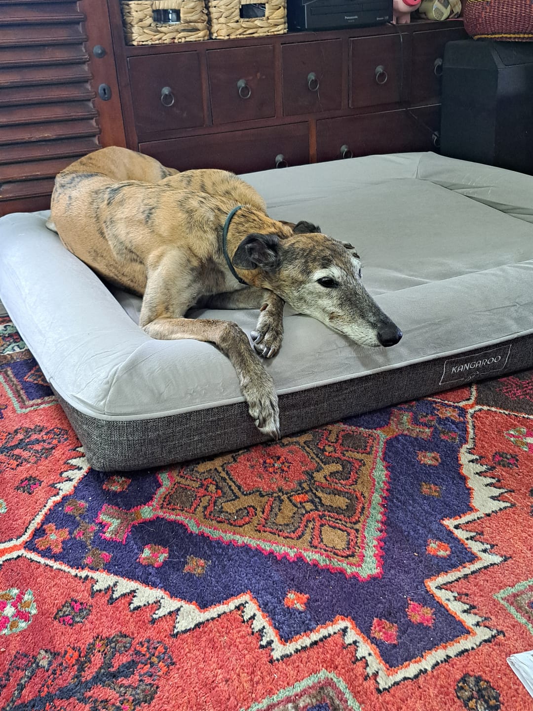 Customer photo review of Orthopaedic Memory Foam Dog Bed