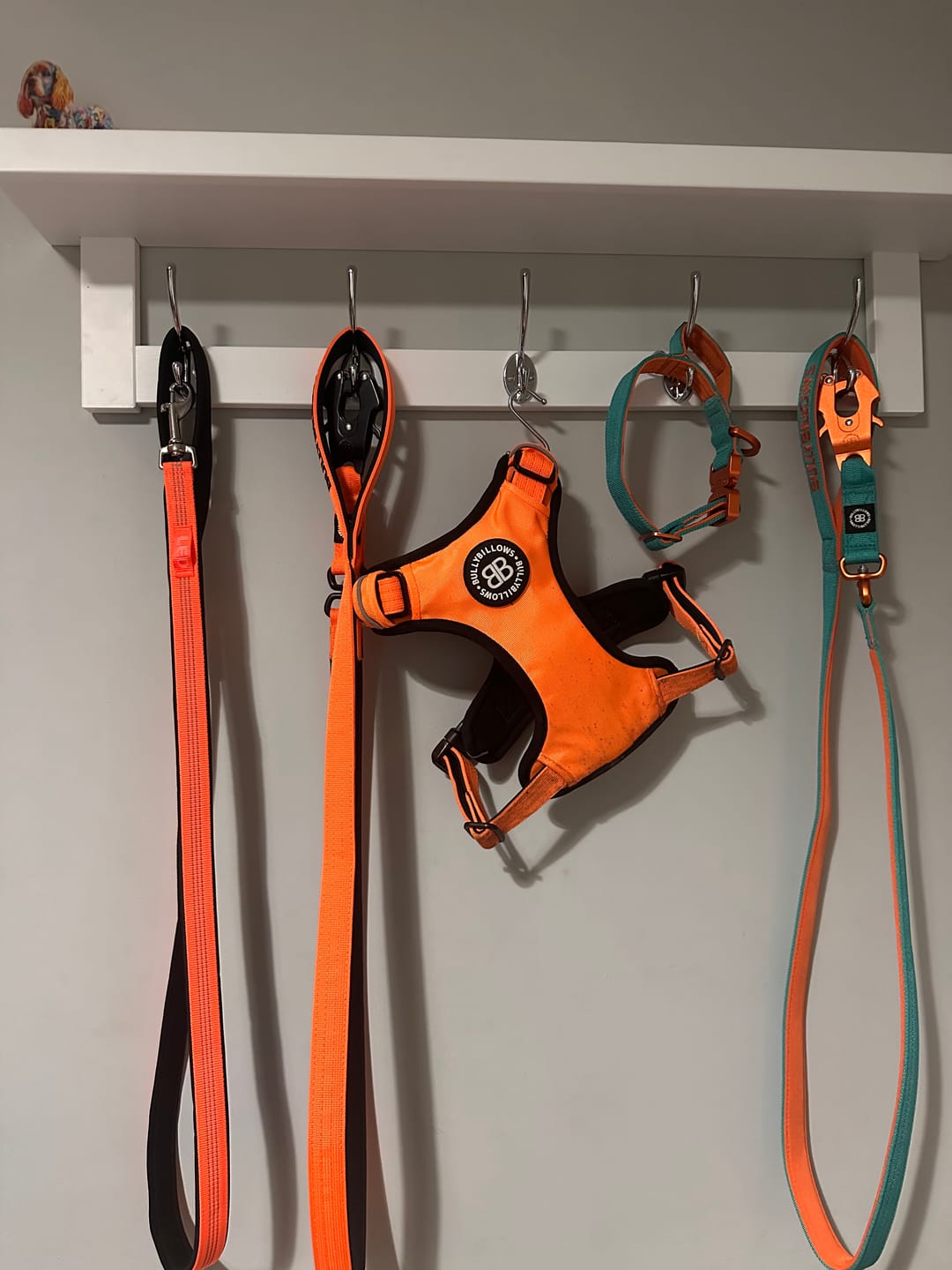 Customer photo review of 1.4m Swivel Combat Lead | Anti-Tangle & Secure Clip - Orange