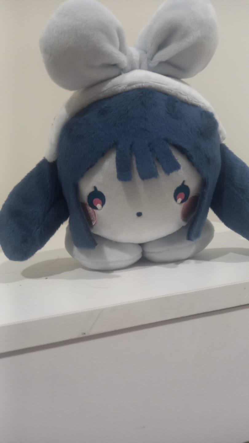 Customer photo review of Alien Stage Rabbit Series Plush Doll