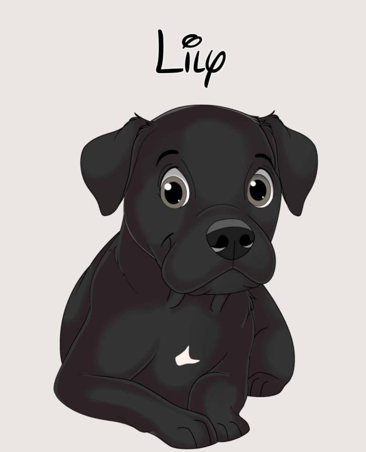 Customer photo review of Disneyfy Pet Cartoon Hand Drawn Portrait