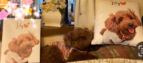 Customer photo review of Petcanva©オーダーメイド ペット似顔絵