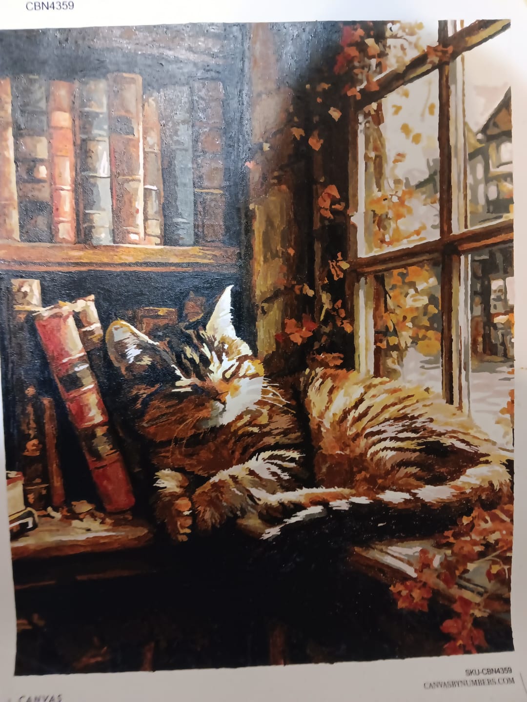 Customer photo review of The Book Nook