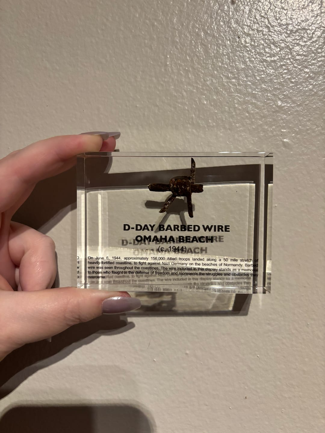 Customer photo review of D-Day Barbed Wire Artifact Display